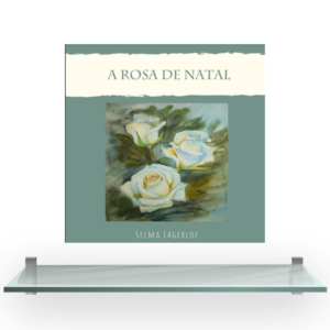 Rosa de Natal